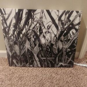 Kansas cornfield sunset canvas wall hanging